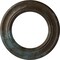 Ekena Millwork Holmdel Ceiling Medallion (Canopies up to 12 7/8"), 20 7/8"OD x 12 7/8"ID x 1"P, Bronze Blue Patina CM20HOBBS - alternate 1